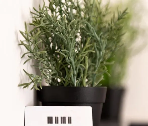 Pensjonat Clementi 18 4*